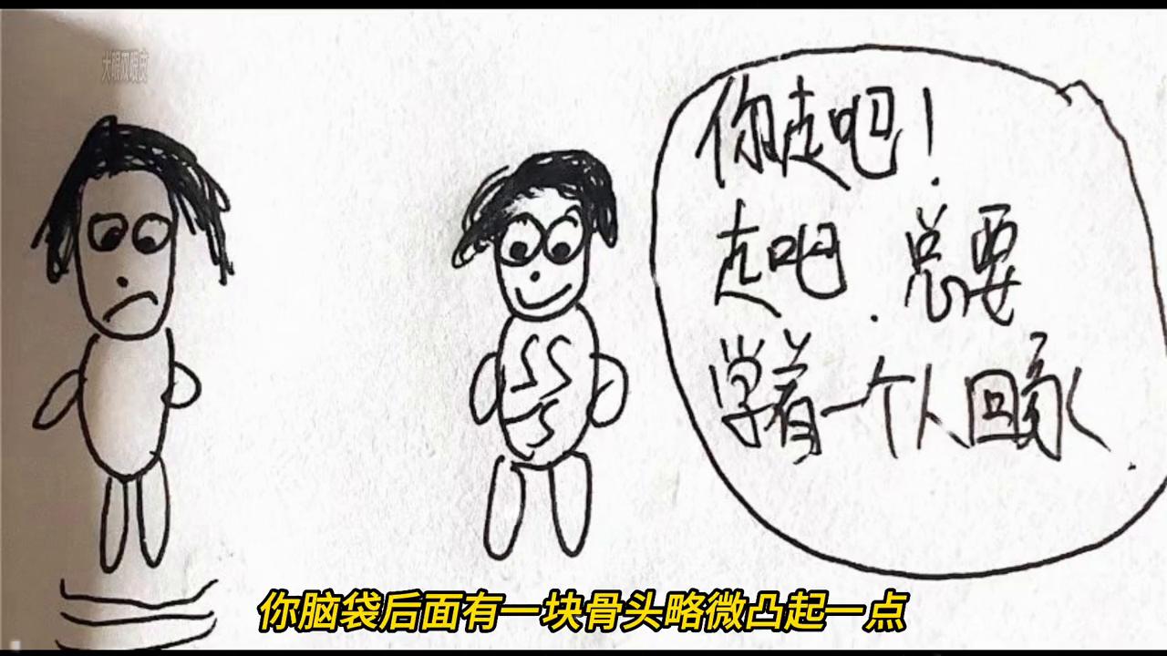 若琳郑志杰,若琳轻轻敲醒沉睡的心灵