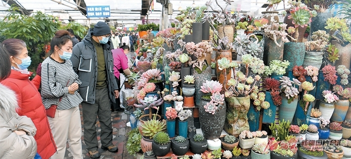 微旅行推荐,城市微旅行读懂生活