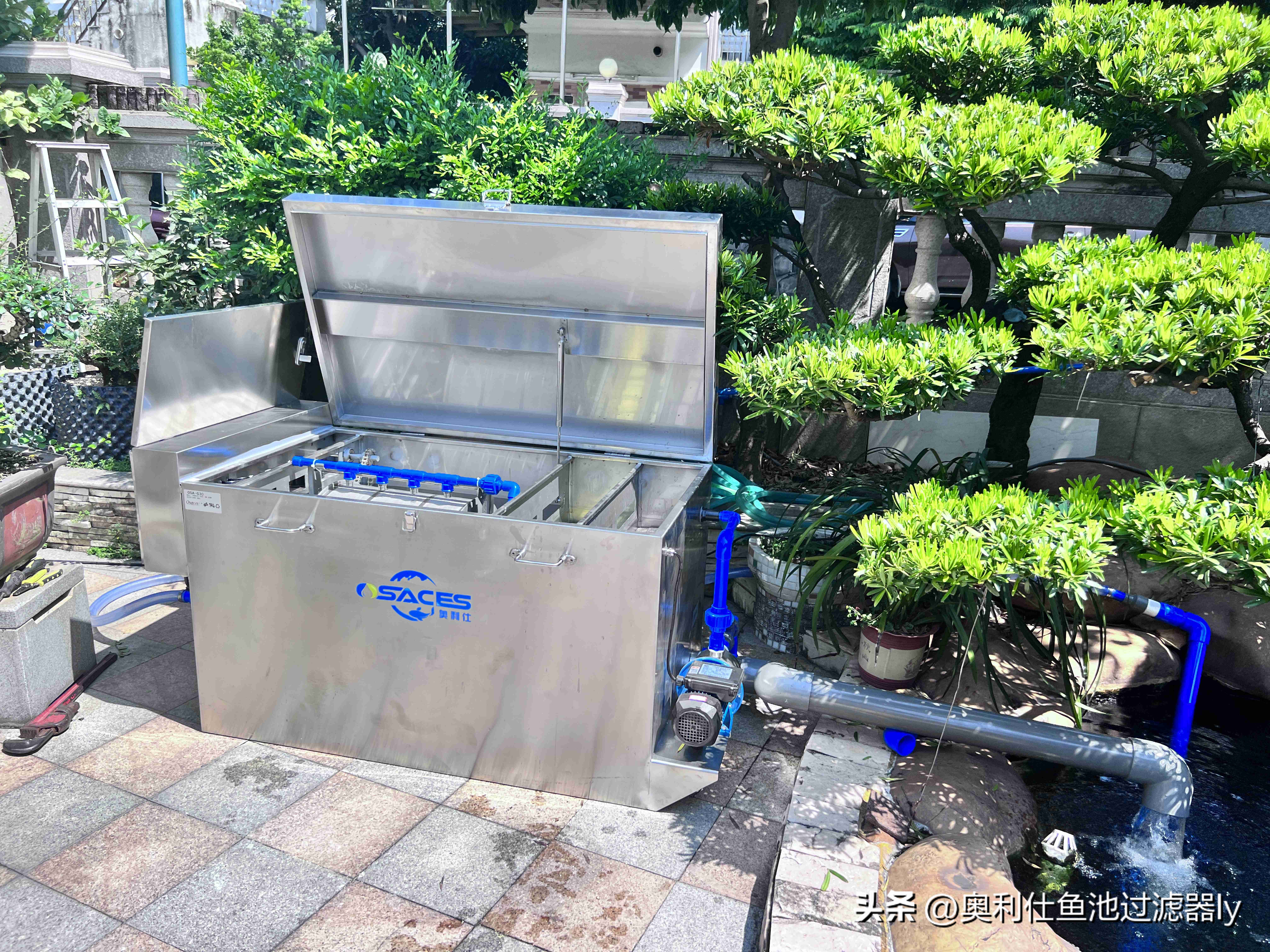 一百平方锦鲤鱼池水净化过滤系统,全自动过滤系统锦鲤鱼池施工方案