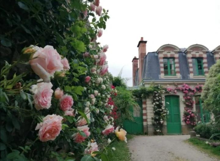 法国玫瑰花园,法国玫瑰花香沐浴露正品