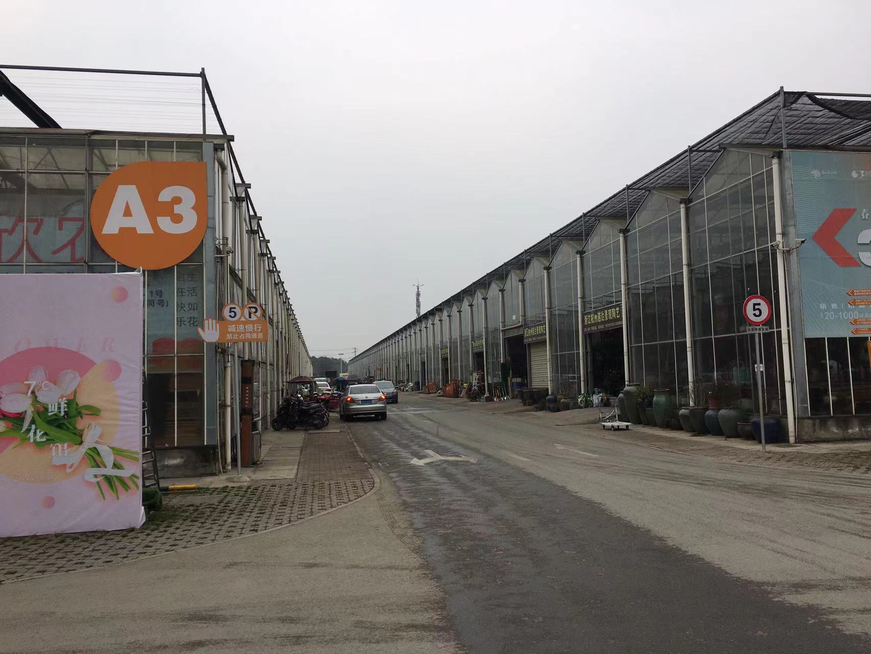 成都春天花卉市场哪里最便宜,成都温江区最便宜的花卉市场