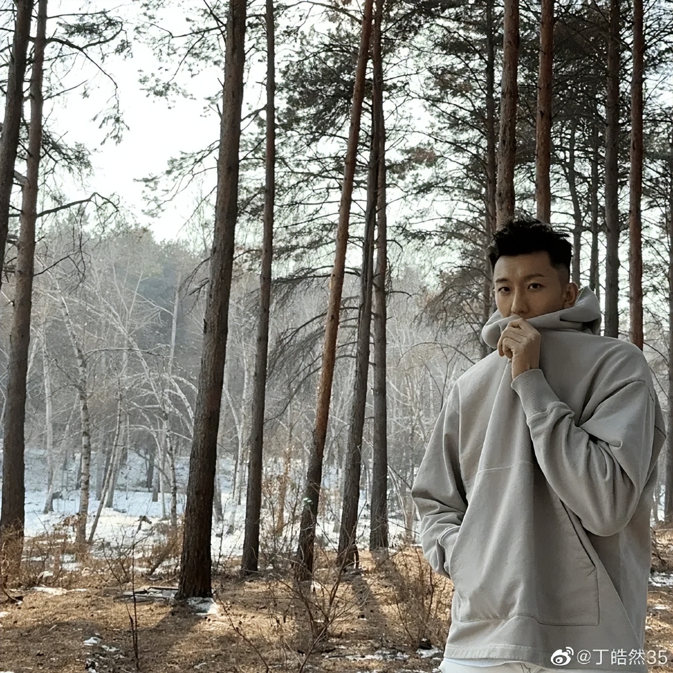 丁皓然是谁,丁皓然籍贯