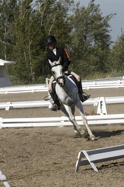 天玑科技涨7.35%,天玑科技股票会涨吗