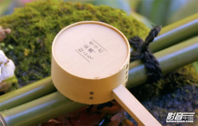 「专题」真的能看8K吗？国内外流媒体视频平台画质大比拼