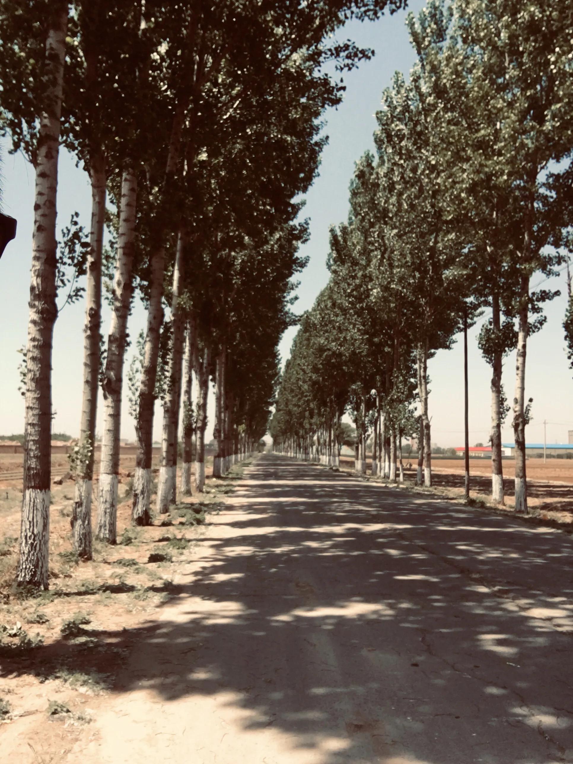 太阳能光伏发电多少钱一平米,太阳能光伏发电板厂家