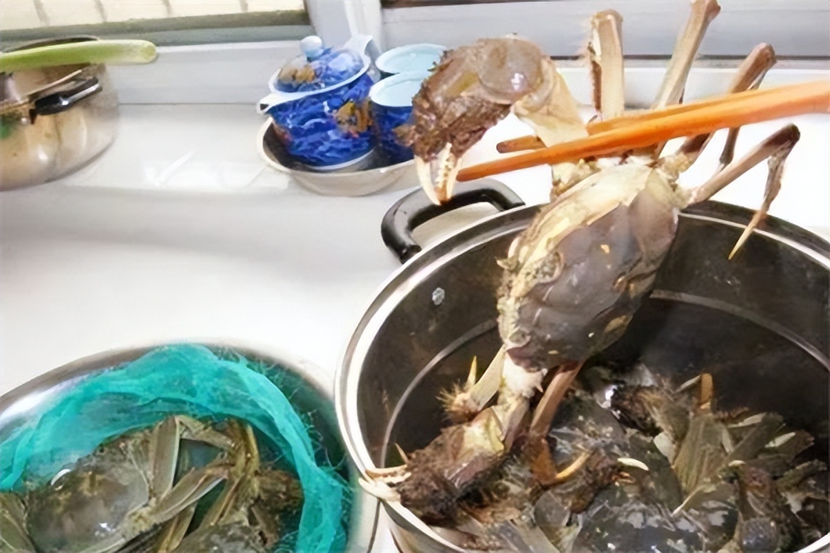 螃蟹刚死常温放了几个小时能吃吗,活螃蟹冷藏放了十天还能吃吗