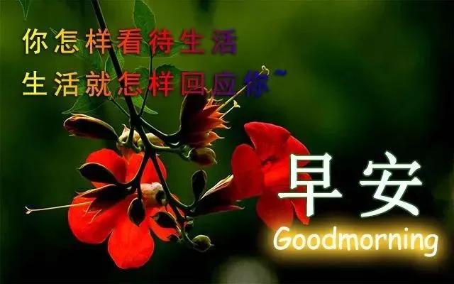 清早祝福大家的早上好问候语美图,早上好祝福问候语大全简短图片