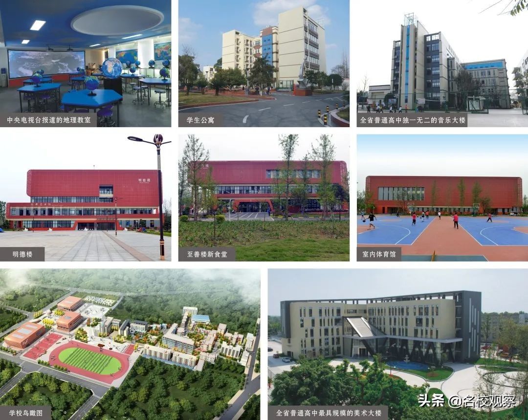 双流艺体特长生招生条件,双流艺体中学2024年艺体特长生