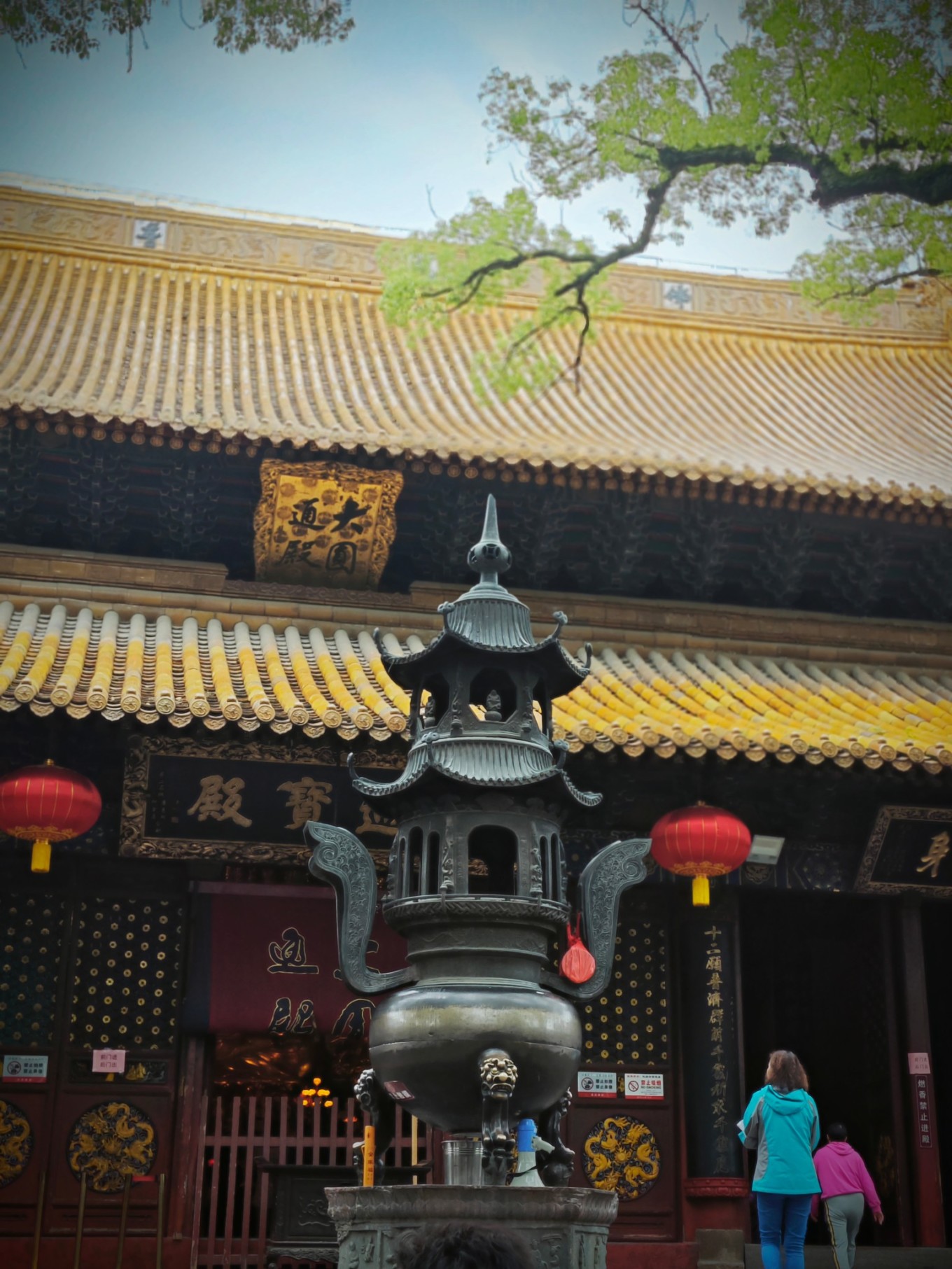 第三年到普陀山祈福之旅圆满,普陀山祈福二日杭州出发跟团游