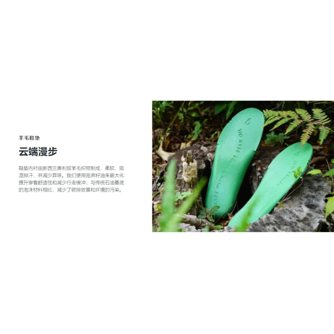 品牌市值逾41亿美元——深入剖析AllbirdsSEO和广告的过人之处