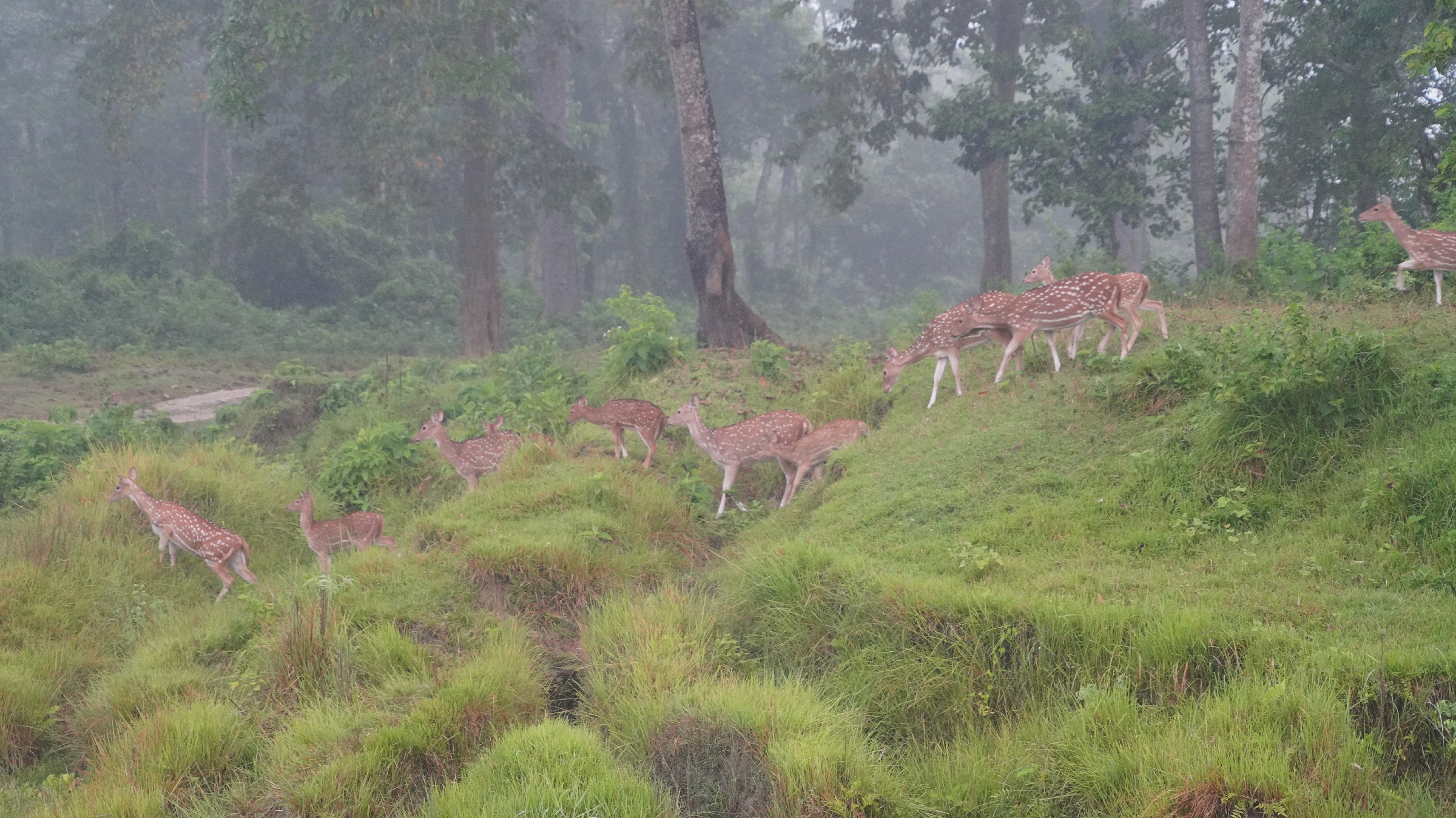 云中鹤游学,云中鹤户外