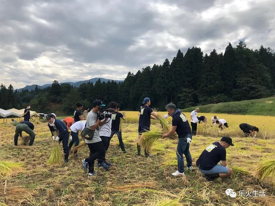 日本排名第一的米其林,日本的神之一手
