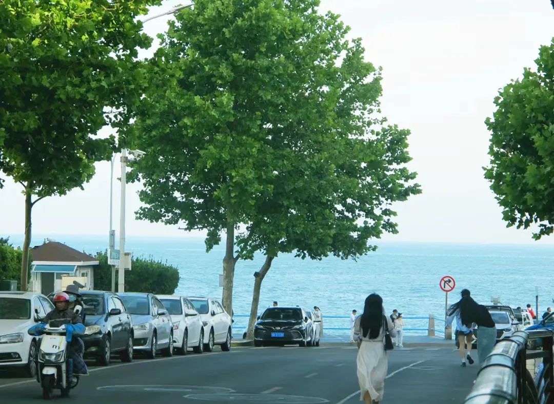 青岛绝美的一条路,青岛都是树的风景路