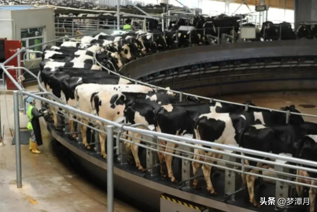 德国*灯区红**合法化,橱窗女郎持证上岗,为何女郎多数不是本国人?