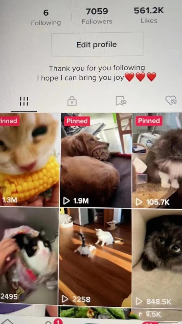 tiktok引流到亚马逊的利弊,怎样用tiktok引流亚马逊