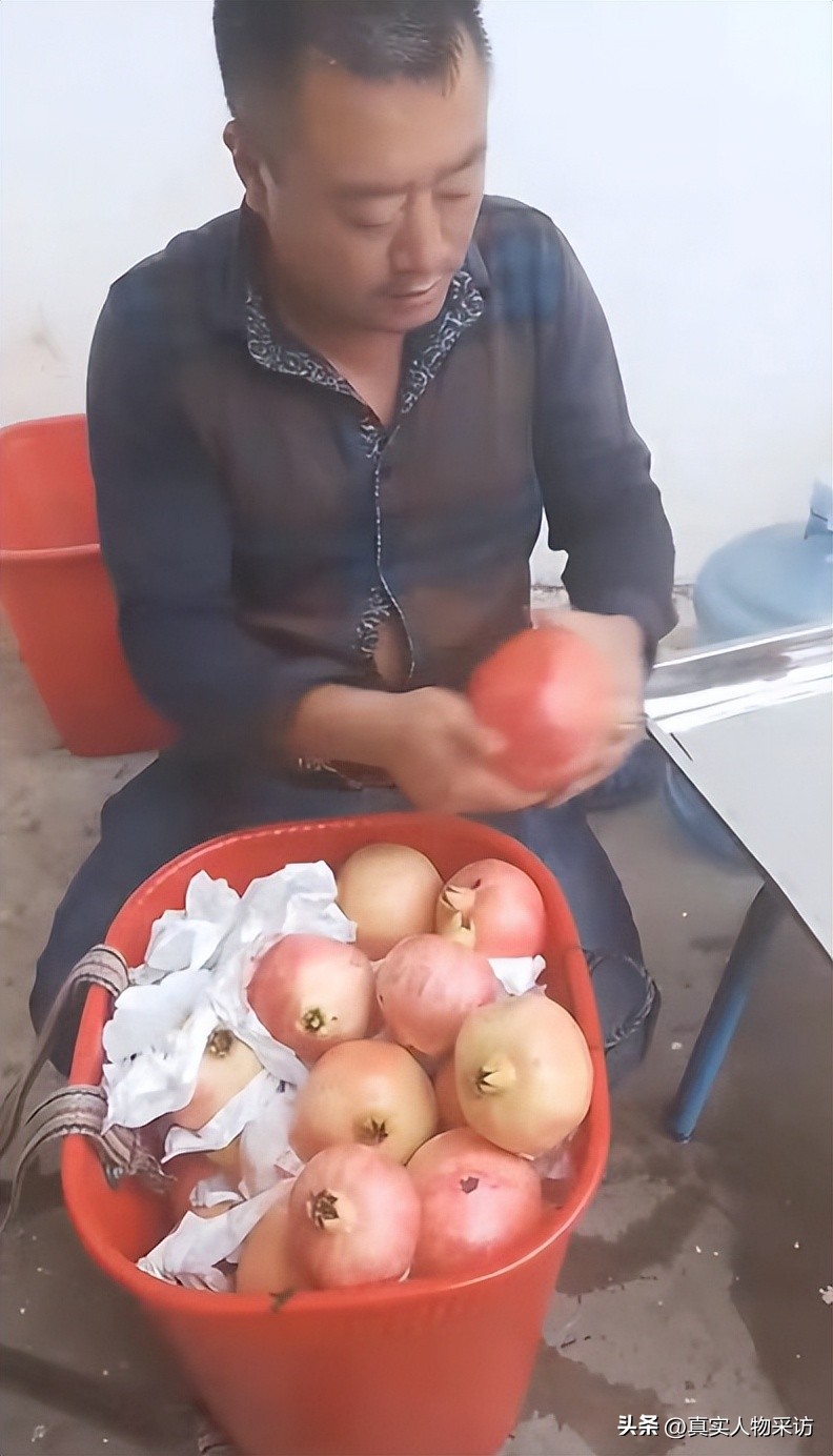 种石榴一亩收入多少钱,种10亩石榴一年收入