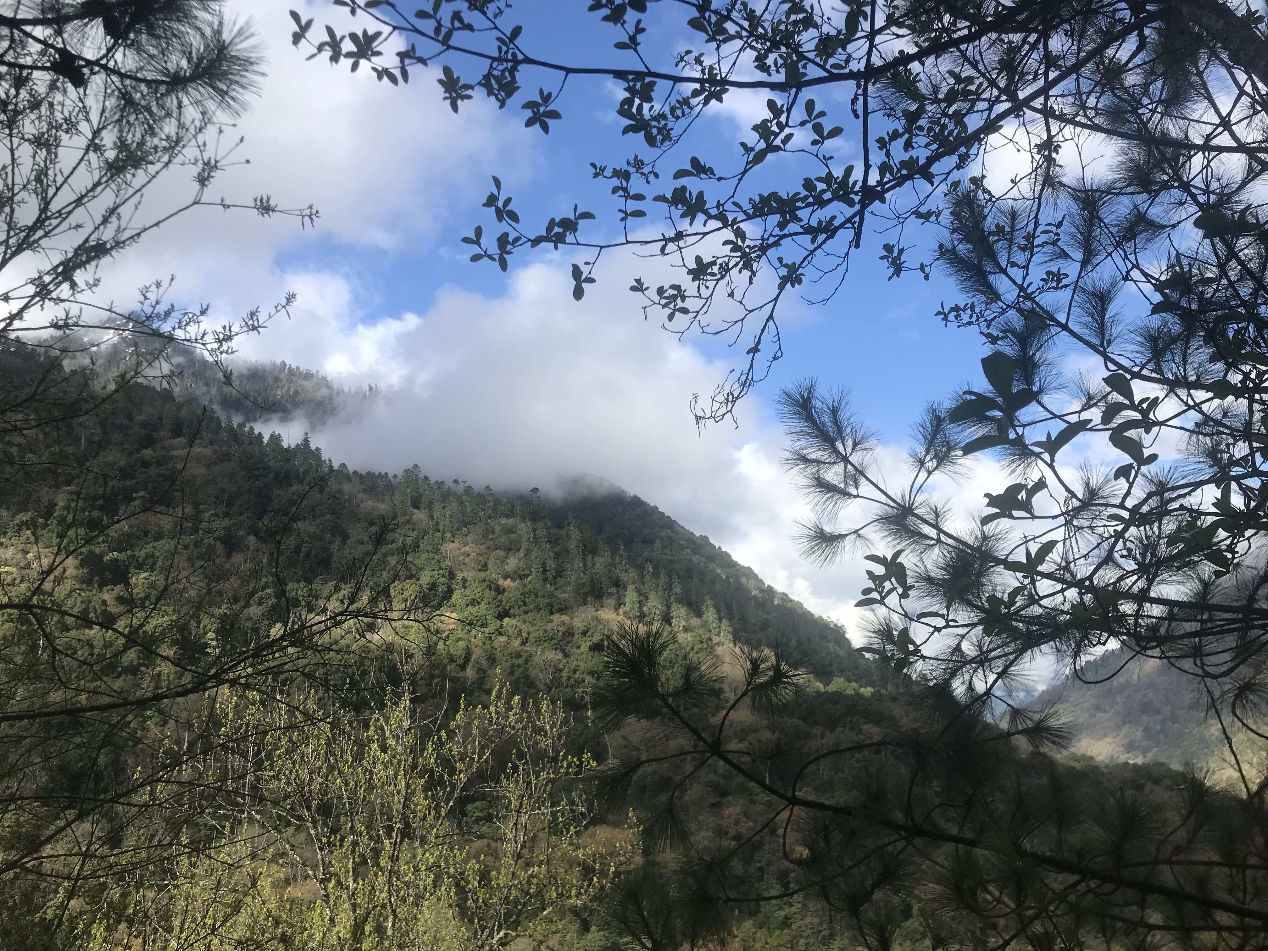 西藏名山南迦巴瓦峰意义,见到南迦巴瓦