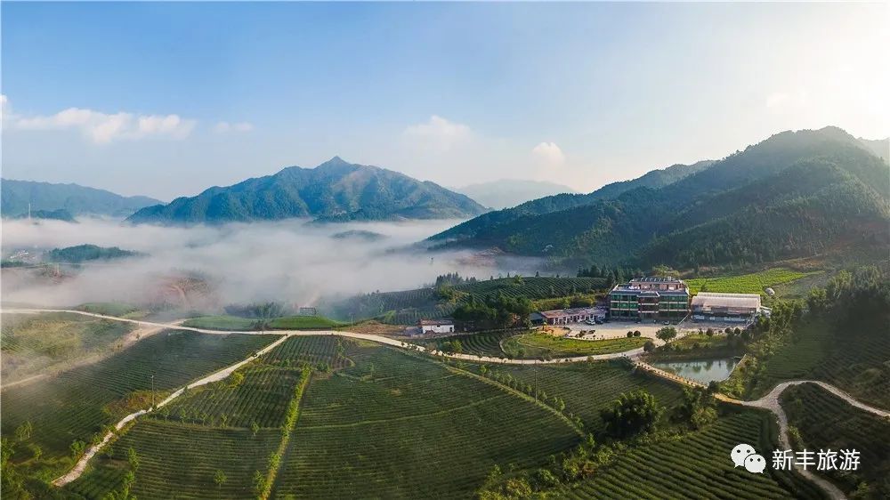 letsgo一周目图文攻略,letsgo图鉴攻略