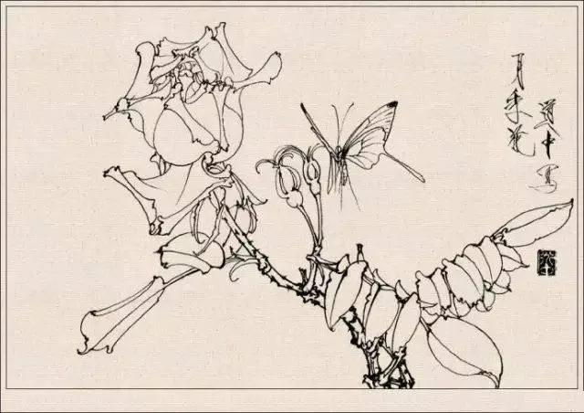 工笔草虫白描王道中,写意花鸟画草虫绘画过程分享