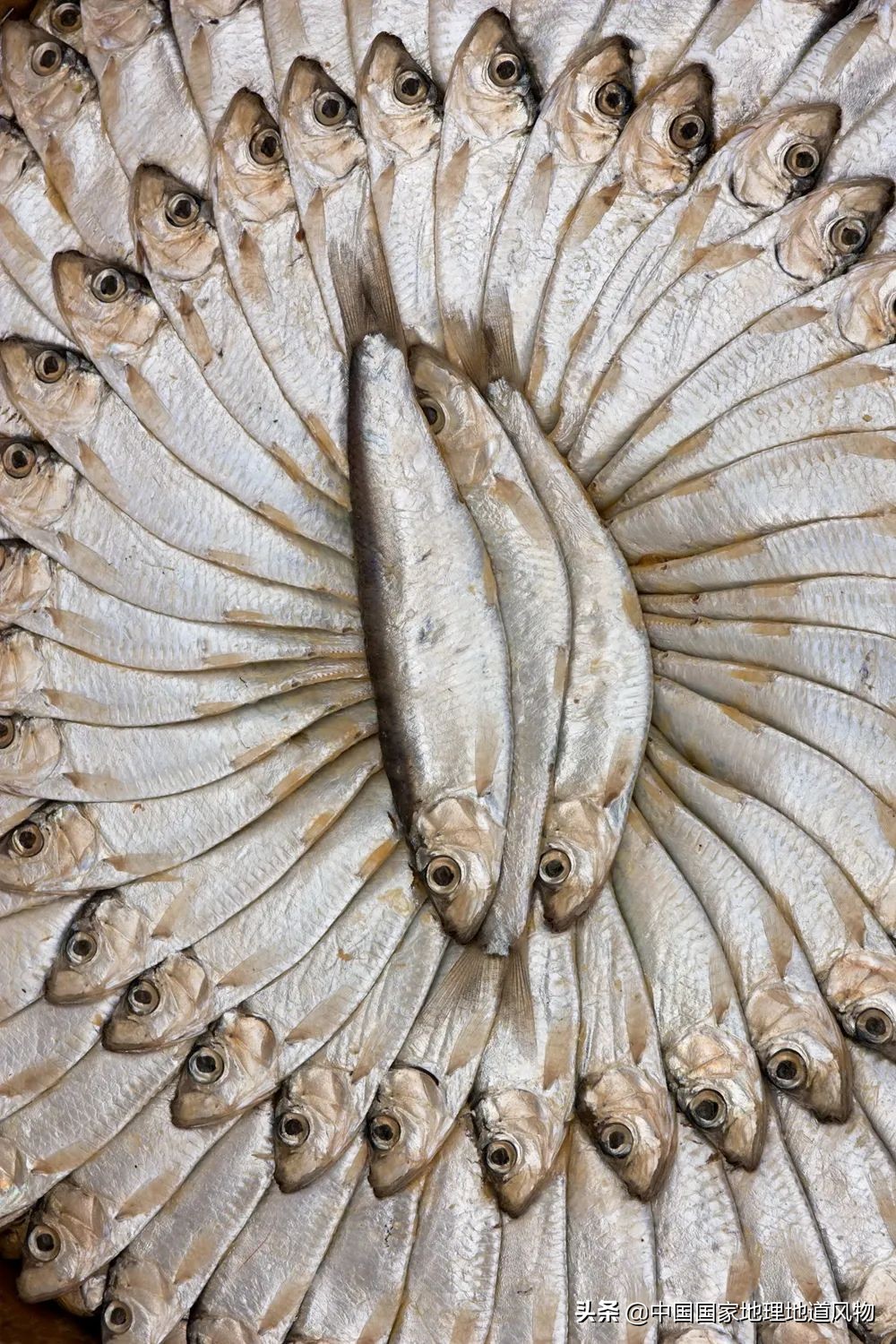 咸鱼最火地图,闲鱼攻略图