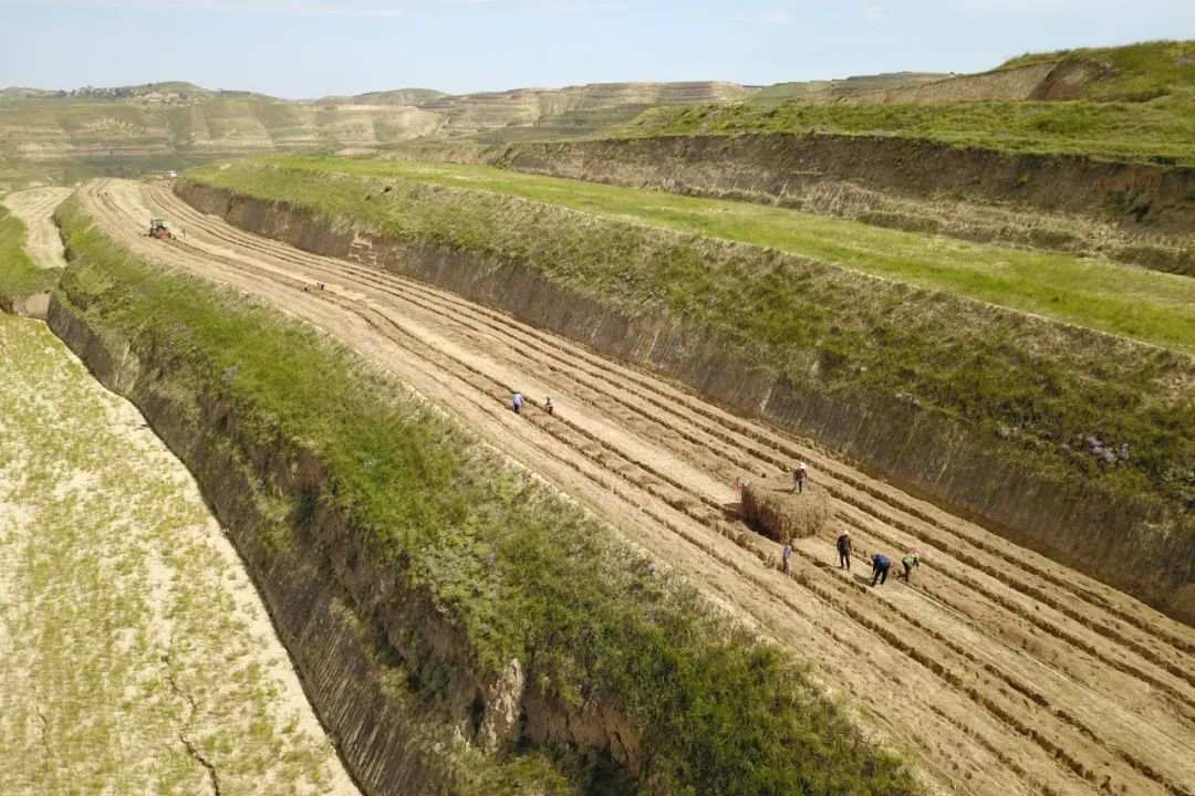 山地丘陵梯田的首选农机,农机怎么跑业务