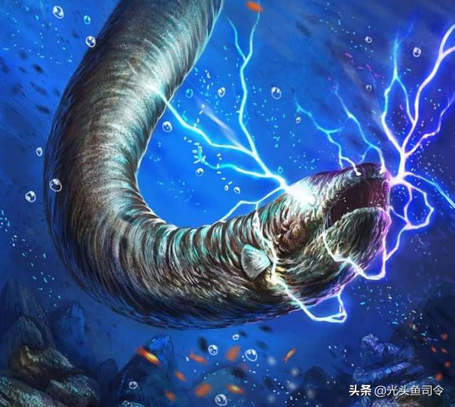 2亿年进化了6次，号称“水下高压电”的电鳗，为何被吃到濒危？