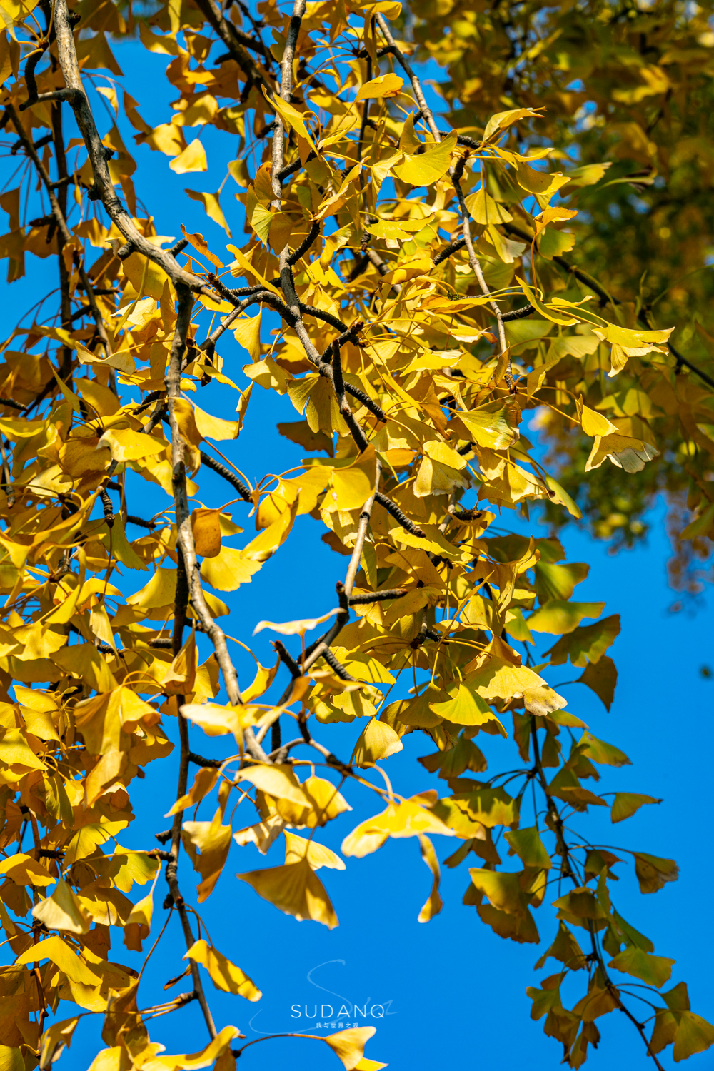 大自然塑造了我,大自然塑造者
