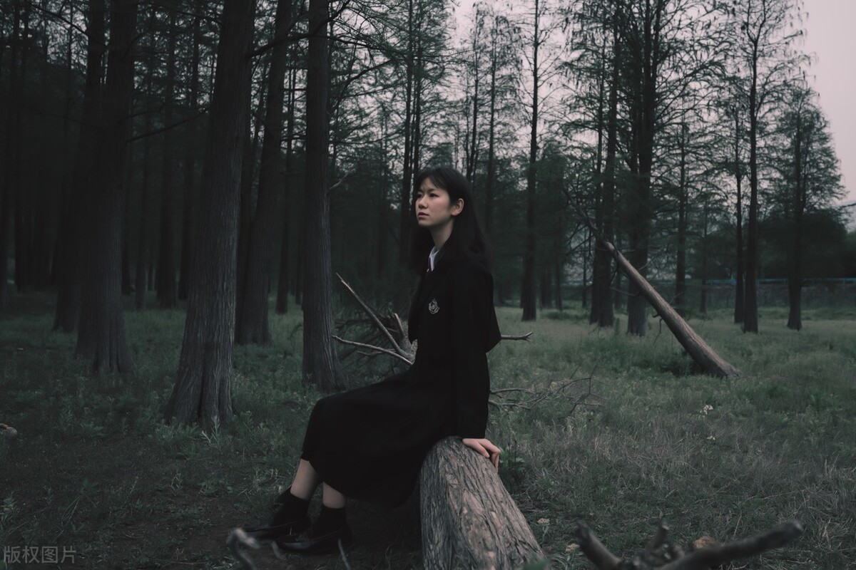 相机光圈怎么调最合适,拍细节图怎么调节光圈