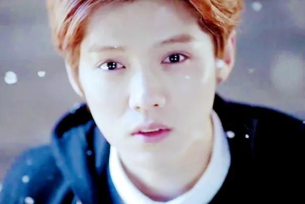 鹿晗演唱会勋章唱哭了,鹿晗演唱会结束后粉丝出场大哭