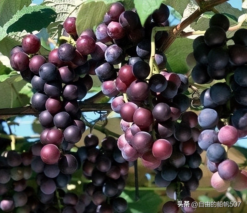 吉林省吉林市磐石市开发区,吉林省吉林市磐石市天气