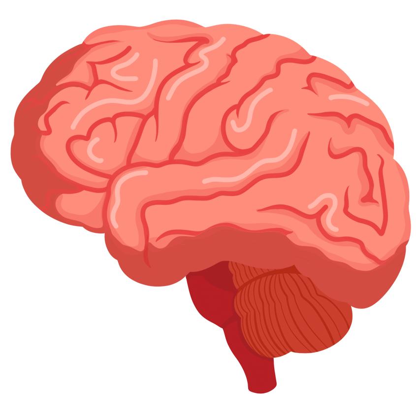 中风后长期便秘怎么办,卒中后排便困难