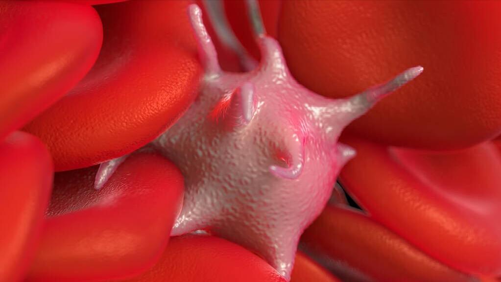 血管外科刁永鹏主任,北京医院血管外科刁永鹏