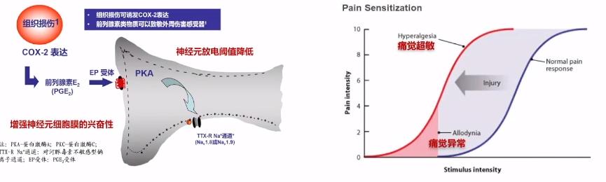 易斌教授,陆军军医大学易斌教授