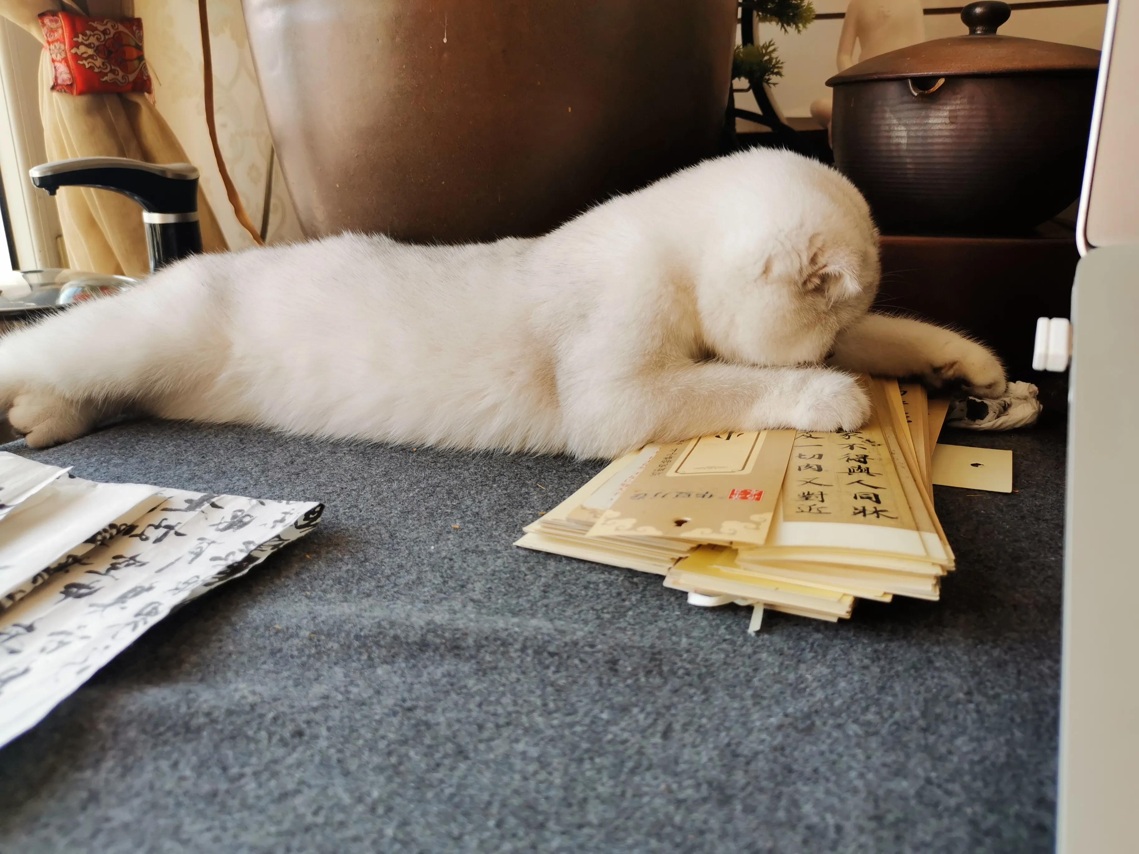 人生如棋走好属于你的那一步,人生如棋局每走一步不许回头