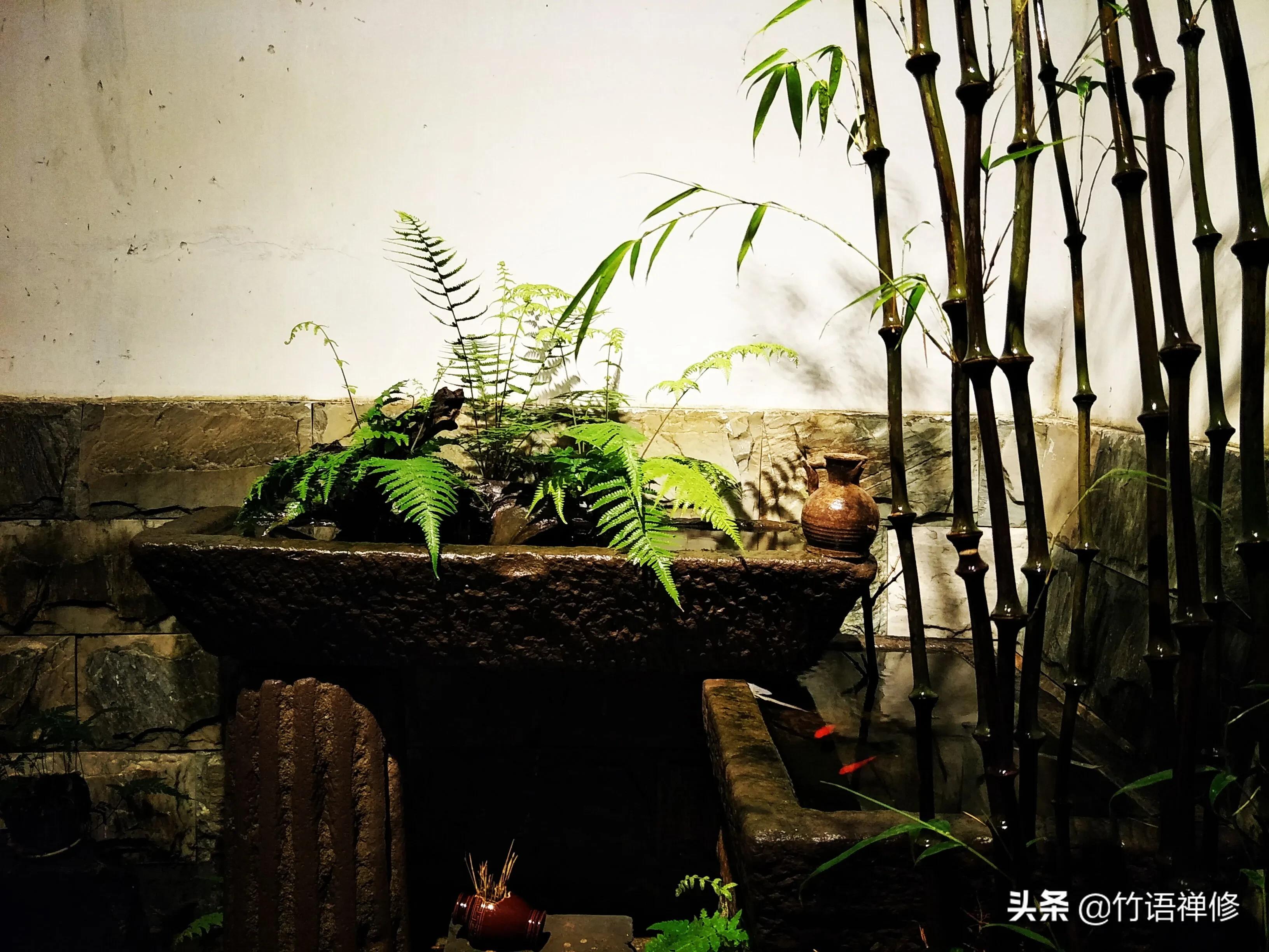 退休后理想中的农家小院,建一个小院过悠闲生活