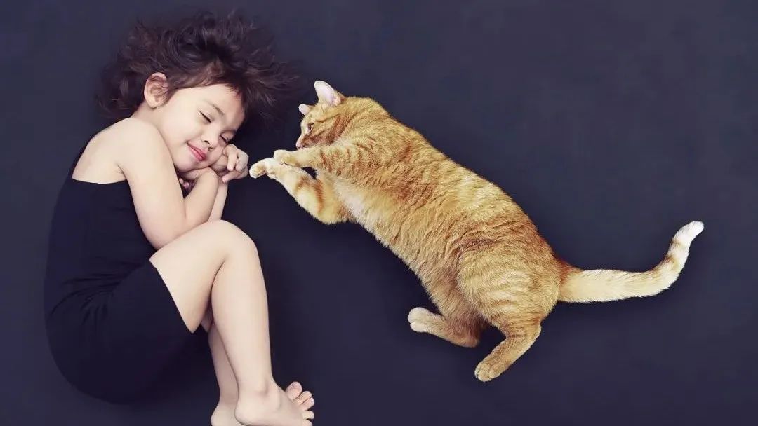 划重点式学习,4-6岁儿童精细动作训练