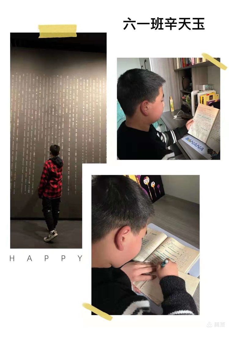 我手写我心为主题的小学作文,小学生作文我手写我心