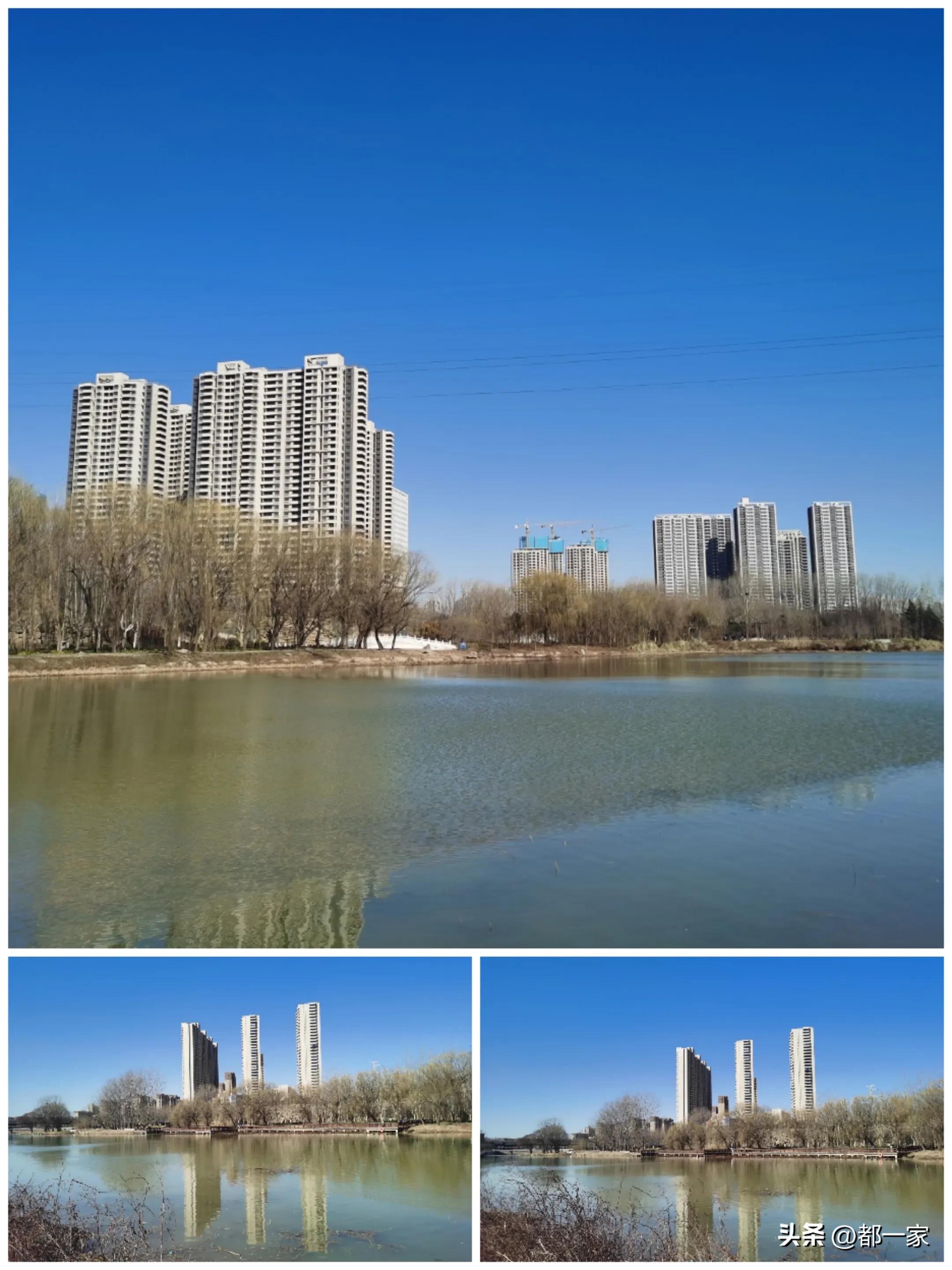 郑州碧沙岗公园赏梅花,春风又至郑州迎来极佳赏梅季