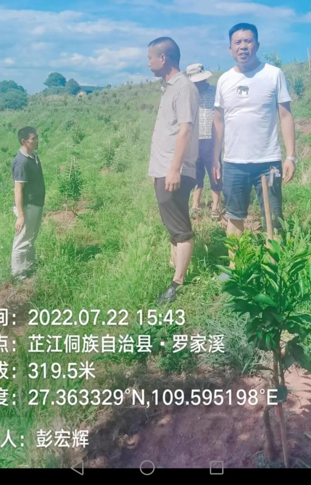 大力发展柑橘产业,培育壮大柑橘业助力乡村振兴