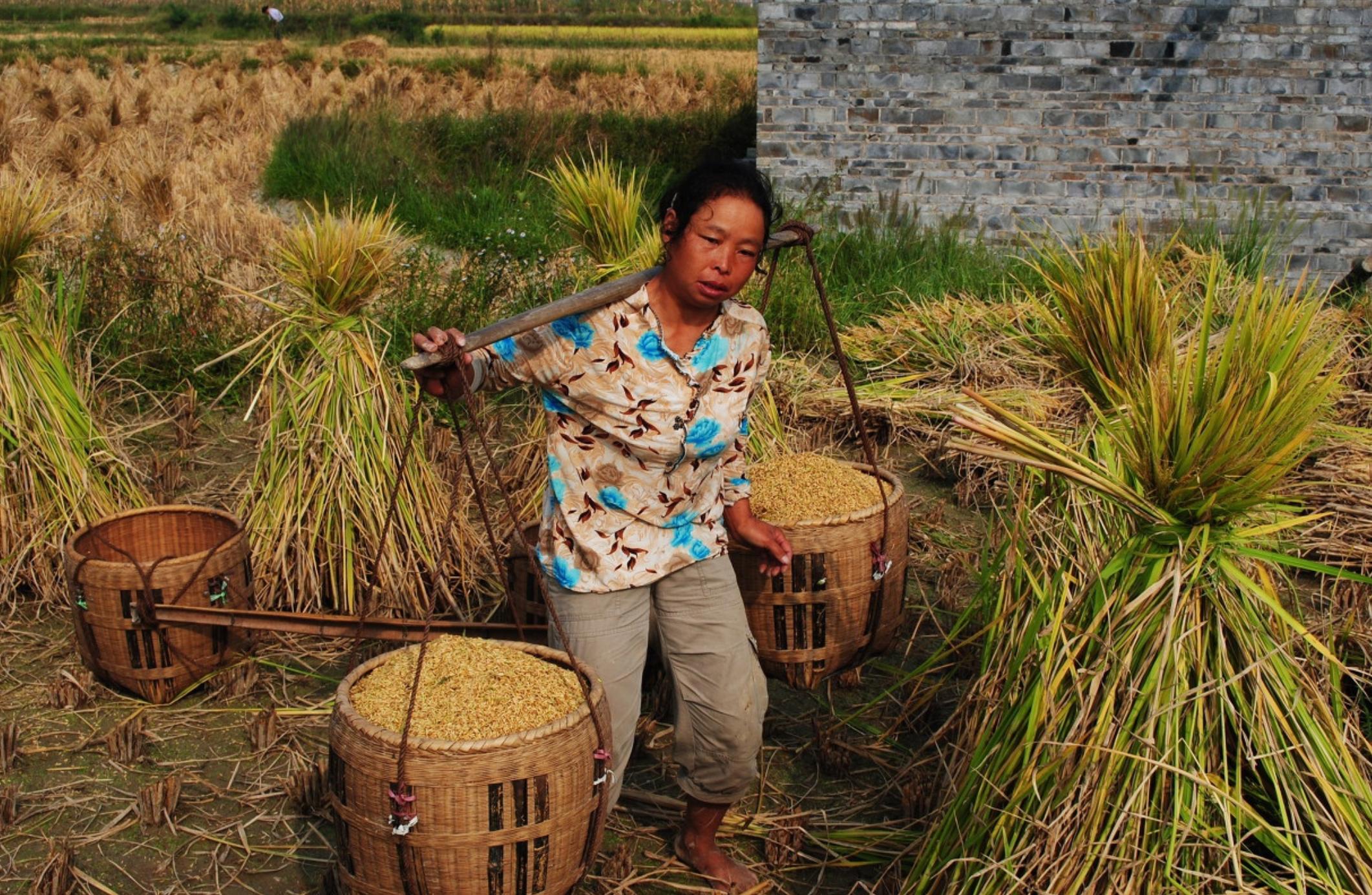 江苏未婚妈妈杨艳，亲手勒死3岁儿子，儿子生前常说：妈妈我爱你