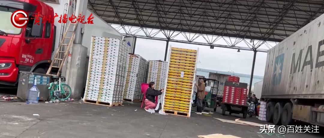 你以为花了几大百买的是进口3J车厘子？其实只是……成本低至3毛！