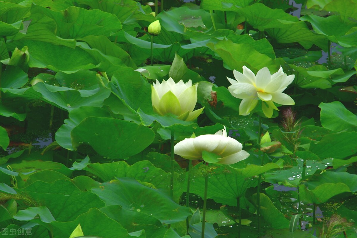 总有一个人跨过千山万水,总有一个人跋涉千里