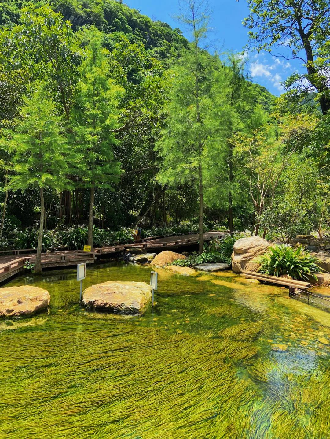 韶关翁源冷泉滩旅游攻略,去韶关丹霞山旅游攻略一日游