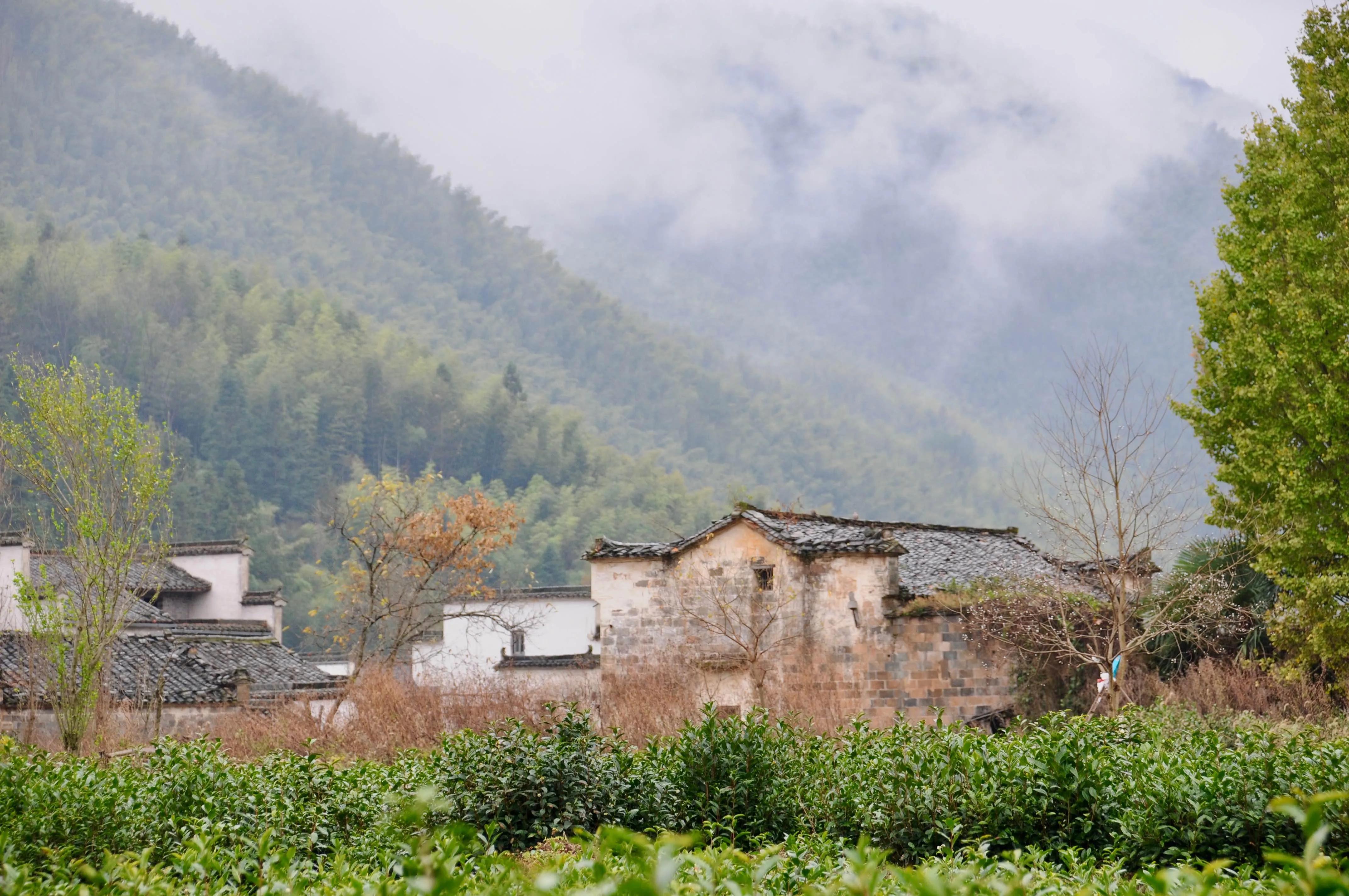 纤纤素手，妙笔丹青（以散文的形式来夸夸姐姐呀）