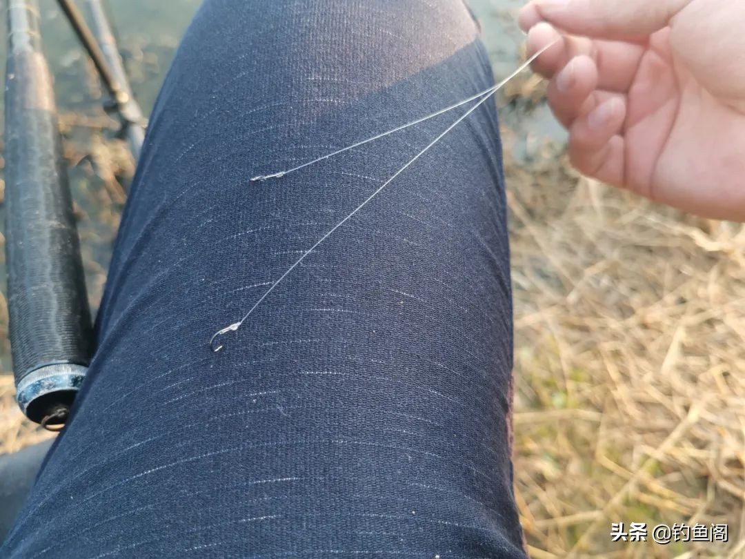 野钓用长子线好还是短子线好,野钓0.6子线和0.8子线哪个实用