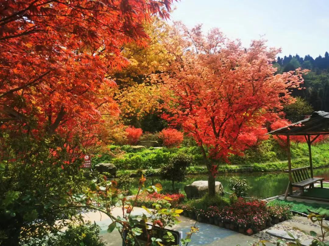 红枫岭有哪些景点,川西红枫岭旅游景点