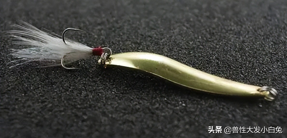 路亚饵的介绍大全,软饵路亚翘嘴