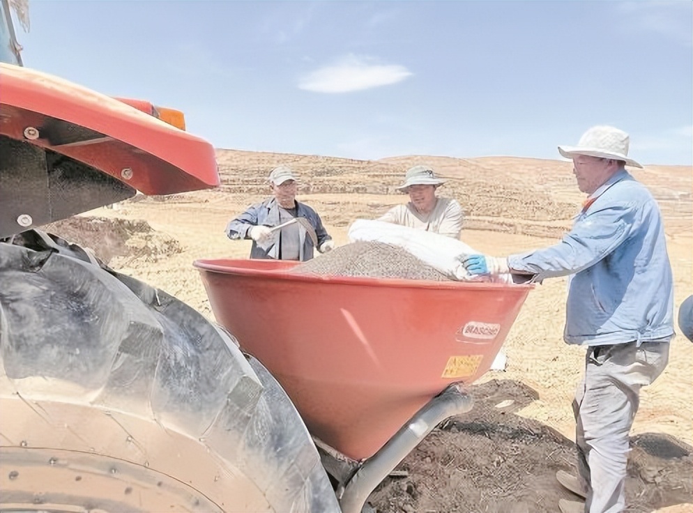 新型村集体经济典型案例,新农村的经济收入在哪方面