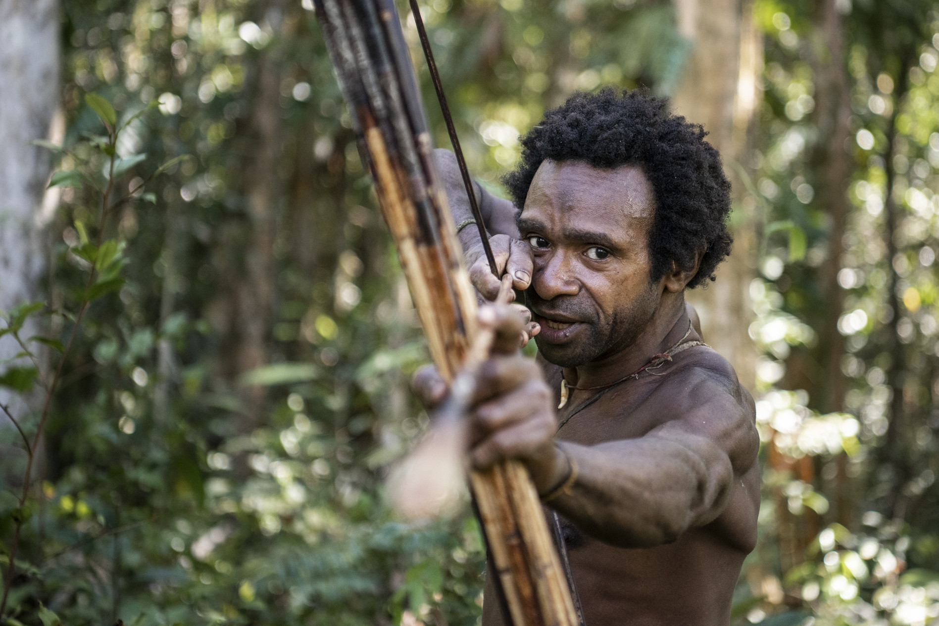食人族现在有多少人,食人族平均年龄