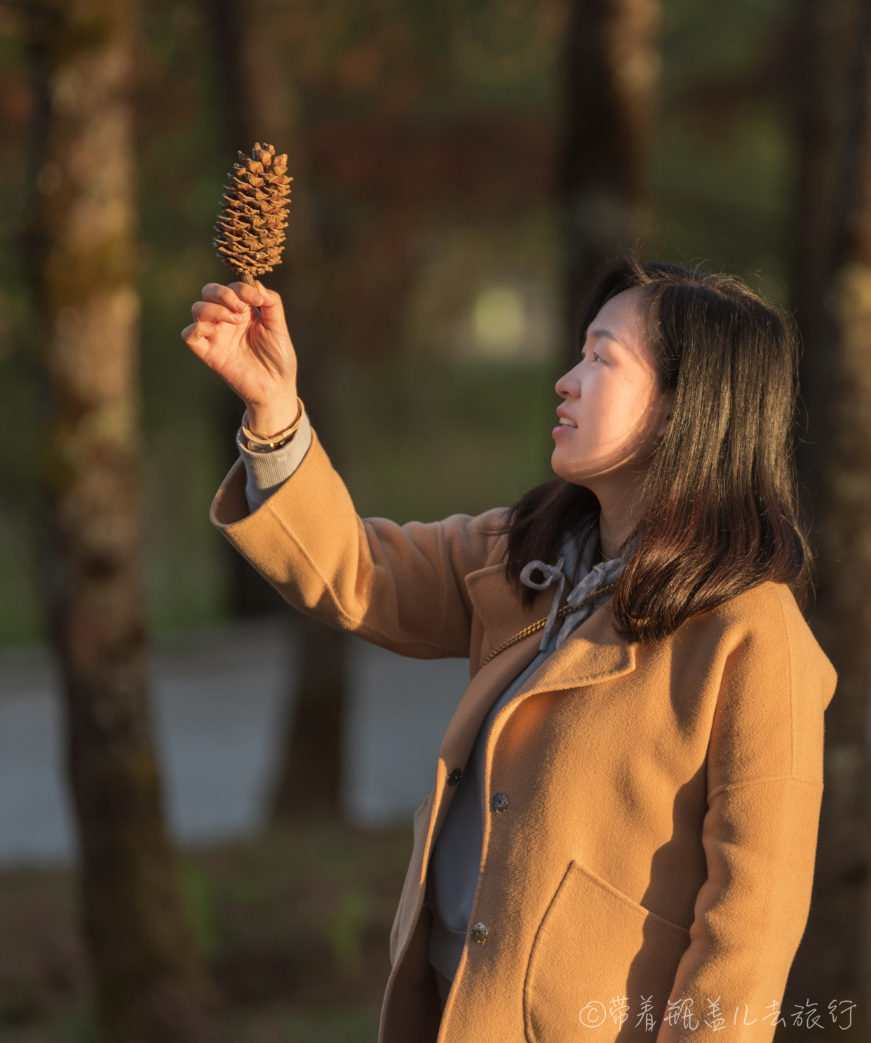 巫溪红叶自驾游,巫溪红池坝云中花海景点讲解